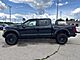 2025 Ford F-150 Raptor Milwaukee WI