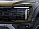 2025 Ford F-150 Raptor Oshkosh WI