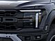 2025 Ford F-150 Raptor Oshkosh WI