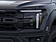 2025 Ford F-150 Raptor Oshkosh WI