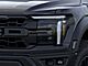 2025 Ford F-150 Raptor Oshkosh WI