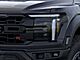 2025 Ford F-150 Raptor Oshkosh WI