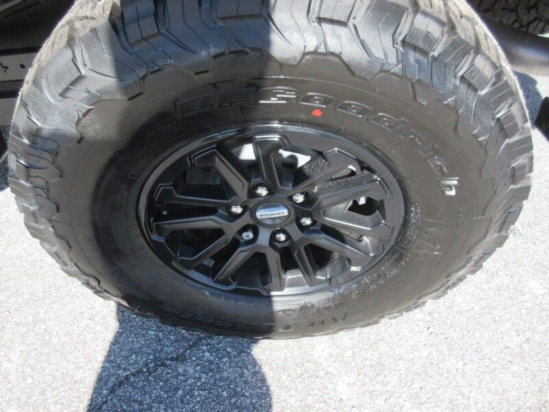 2025 Ford F-150 Raptor St. George SC