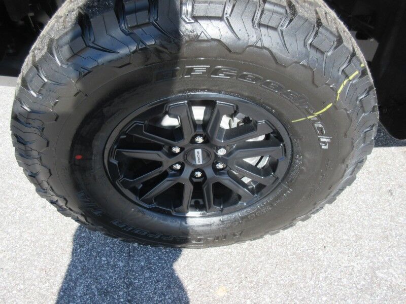 2025 Ford F-150 Raptor St. George SC