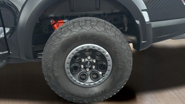 2025 Ford F-150 Raptor San Juan TX