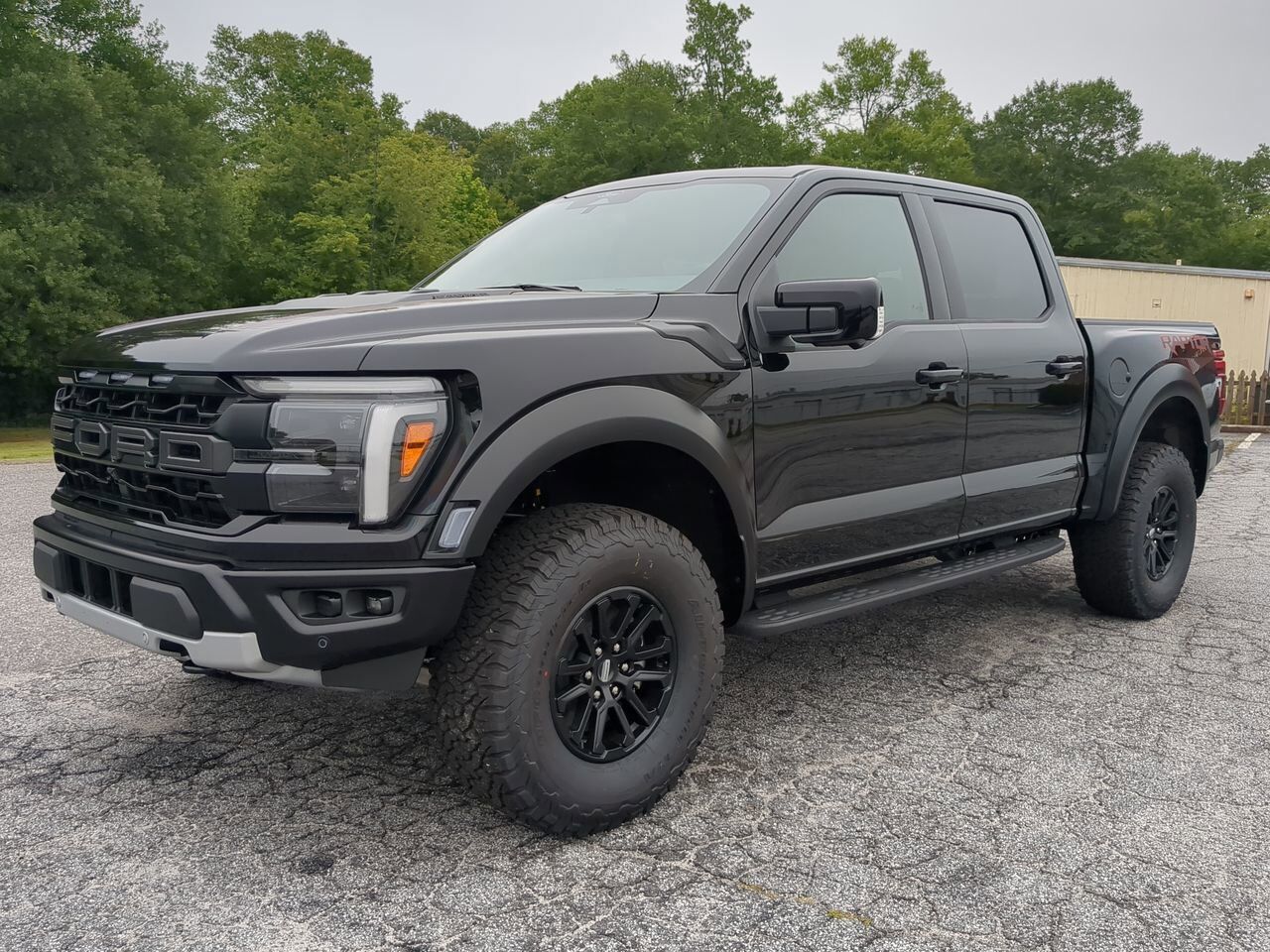 2025 Ford F-150 Raptor Winder GA