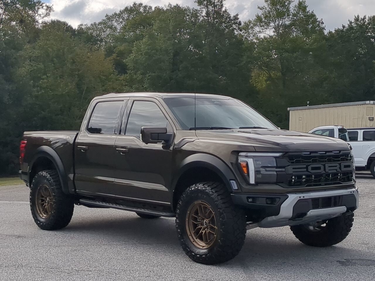 2025 Ford F-150 Raptor Winder GA