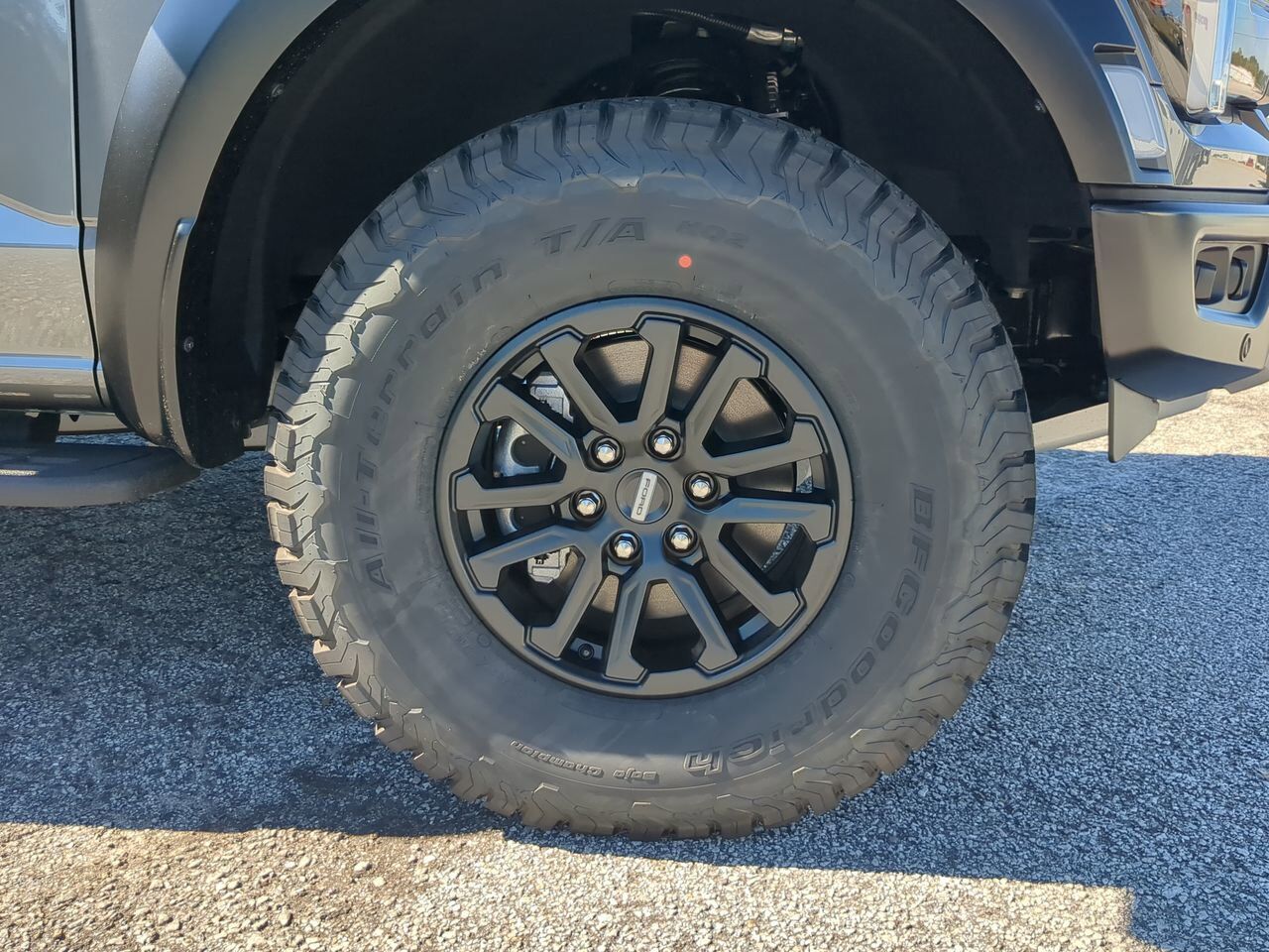 2025 Ford F-150 Raptor Winder GA