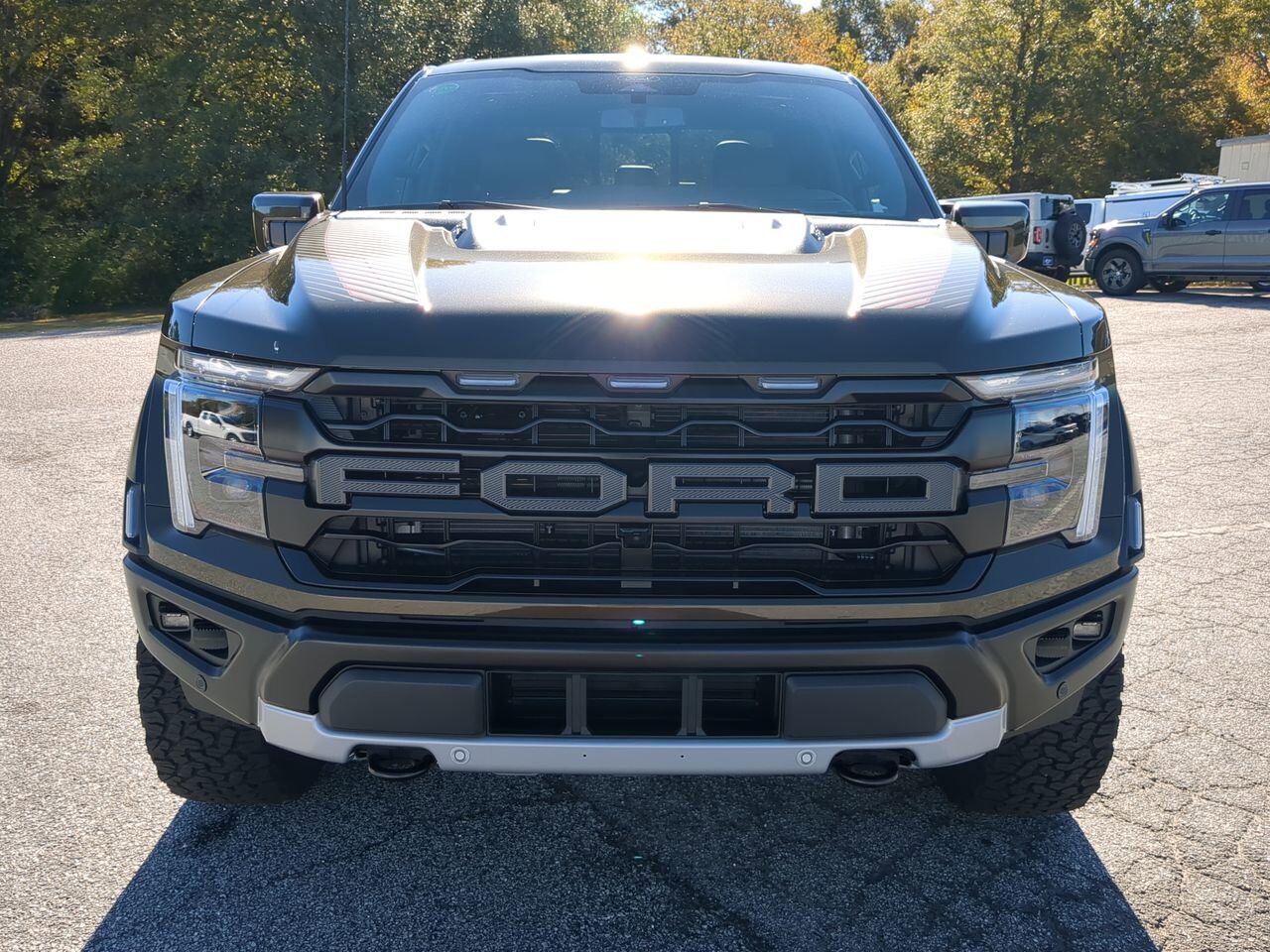 2025 Ford F-150 Raptor Winder GA