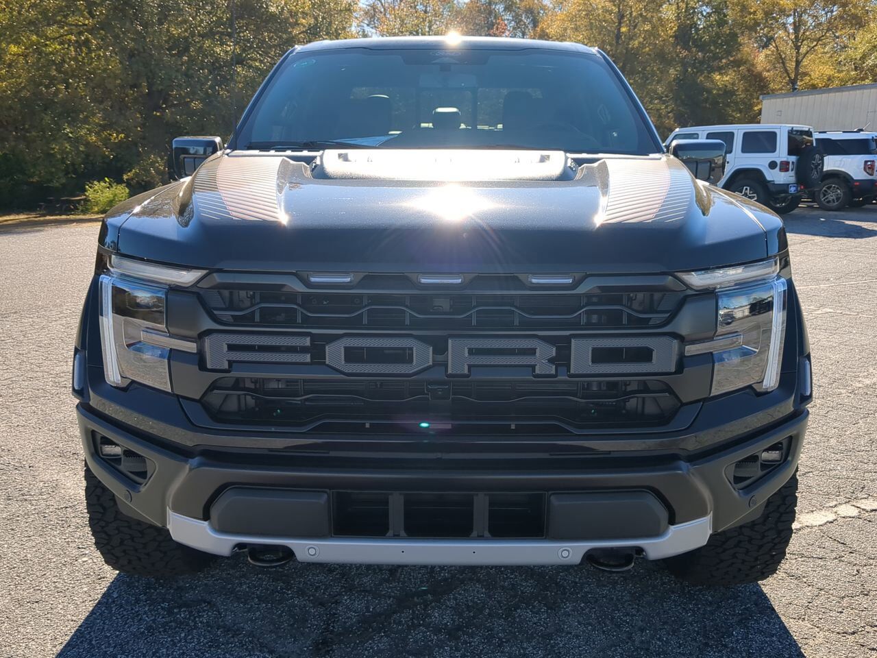 2025 Ford F-150 Raptor Winder GA