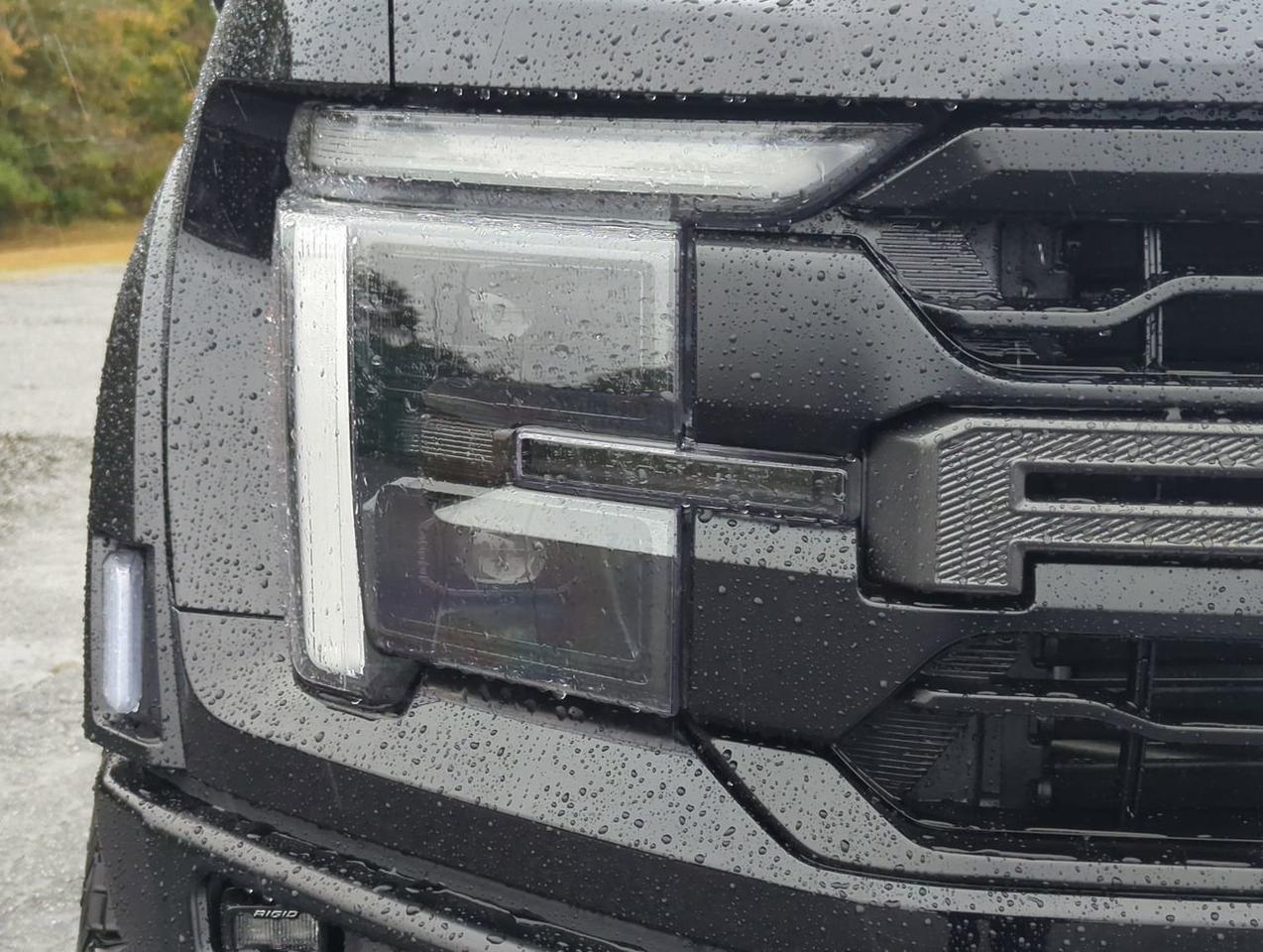 2025 Ford F-150 Raptor Winder GA