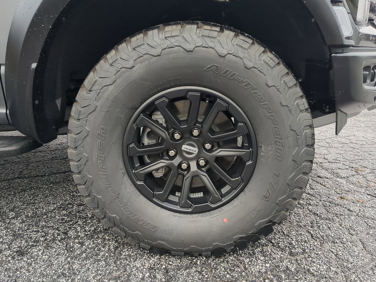 2025 Ford F-150 Raptor Winder GA