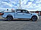 2025 Ford F-150 STX  TX 2025 Ford F-150 STX  TX