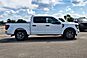 2025 Ford F-150 STX  TX 2025 Ford F-150 STX  TX