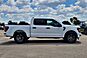2025 Ford F-150 STX  TX 2025 Ford F-150 STX  TX