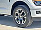 2025 Ford F-150 STX  TX