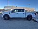 2025 Ford F-150 STX Milwaukee WI