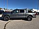 2025 Ford F-150 STX Milwaukee WI