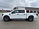 2025 Ford F-150 STX Milwaukee WI