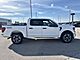 2025 Ford F-150 STX Milwaukee WI