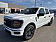 2025 Ford F-150 STX Milwaukee WI