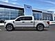 2025 Ford F-150 STX Oshkosh WI