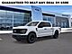 2025 Ford F-150 STX Oshkosh WI