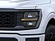 2025 Ford F-150 STX Oshkosh WI