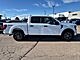 2025 Ford F-150 STX Oshkosh WI 2025 Ford F-150 STX Oshkosh WI