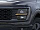 2025 Ford F-150 STX Oshkosh WI 2025 Ford F-150 STX Oshkosh WI