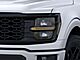 2025 Ford F-150 STX Oshkosh WI
