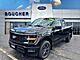 2025 Ford F-150 STX Oshkosh WI