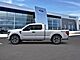 2025 Ford F-150 STX Oshkosh WI