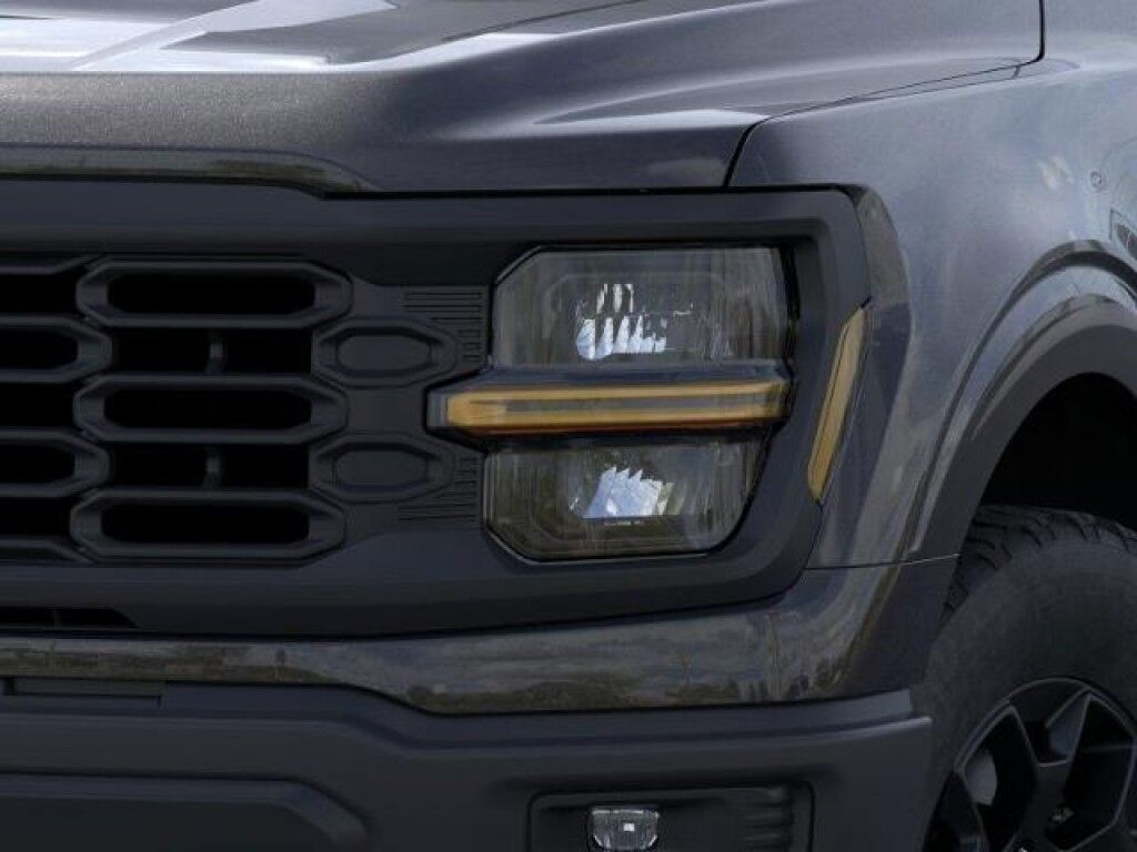 2025 Ford F-150 STX Owego NY