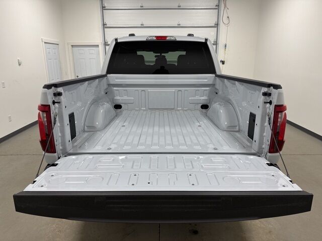 2025 Ford F-150 STX Pine River MN