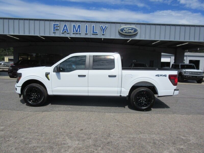 2025 Ford F-150 STX St. George SC