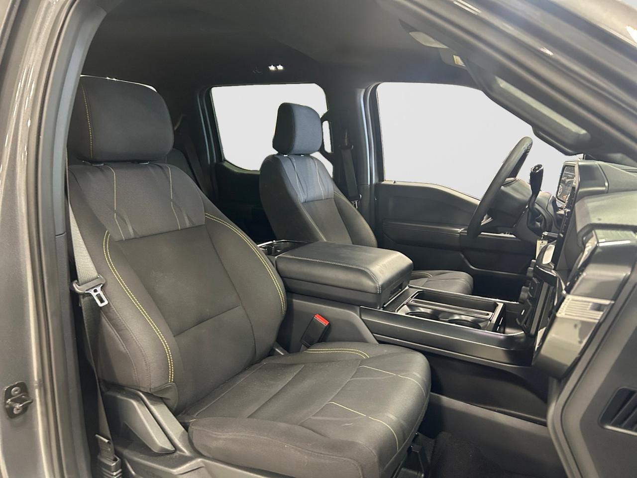 2025 Ford F-150 STX New Braunfels TX