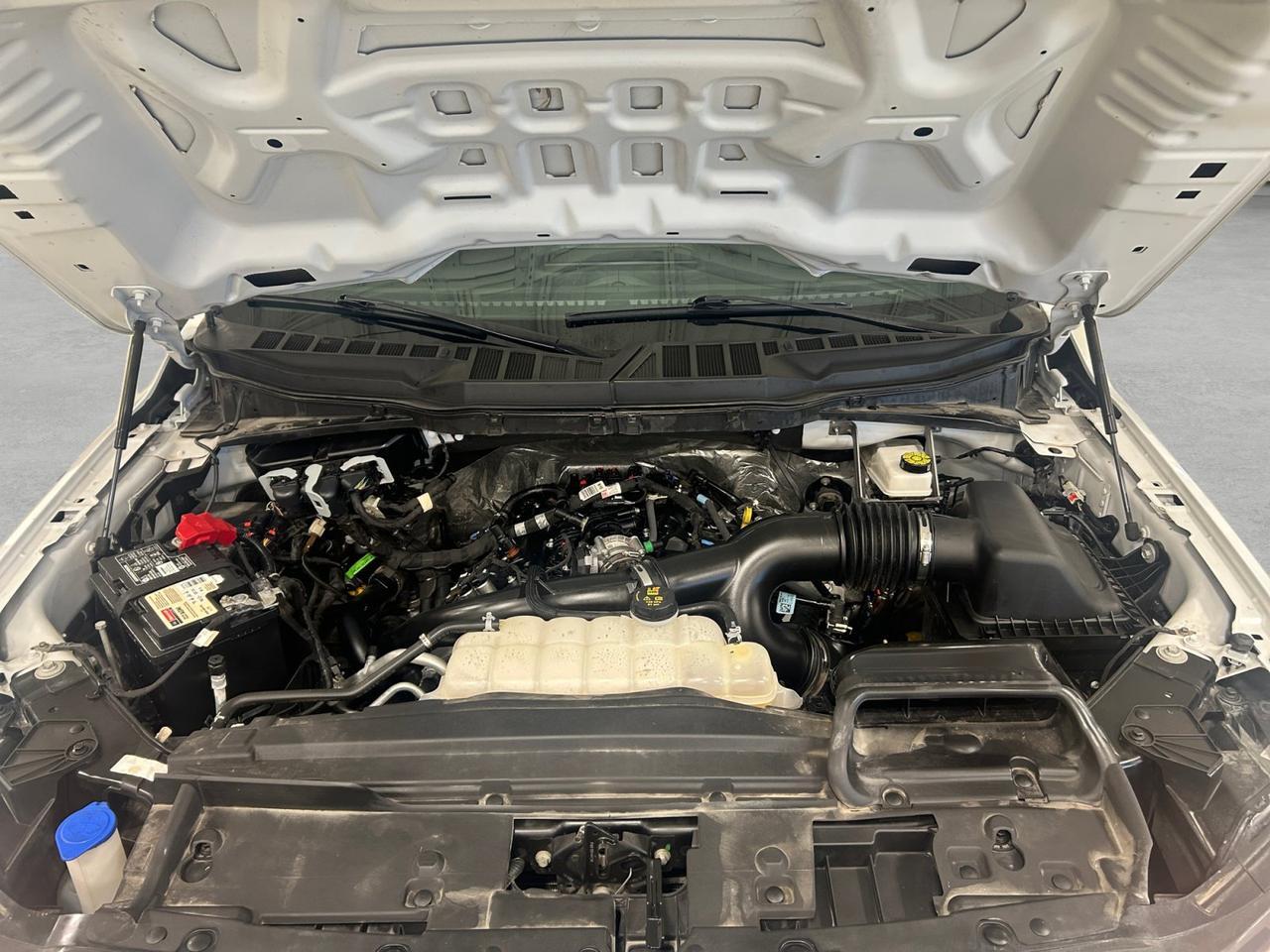2025 Ford F-150 STX New Braunfels TX