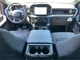 2025 Ford F-150 STX San Diego County CA