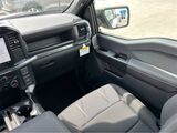 2025 Ford F-150 STX San Diego County CA