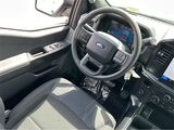 2025 Ford F-150 STX San Diego County CA