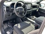 2025 Ford F-150 STX San Diego County CA