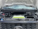 2025 Ford F-150 STX San Diego County CA