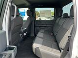 2025 Ford F-150 STX San Diego County CA