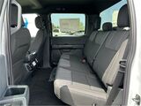 2025 Ford F-150 STX San Diego County CA