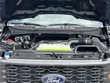 2025 Ford F-150 STX San Diego County CA