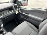 2025 Ford F-150 STX San Diego County CA