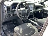2025 Ford F-150 STX San Diego County CA