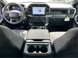 2025 Ford F-150 STX San Diego County CA