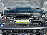 2025 Ford F-150 STX San Diego County CA